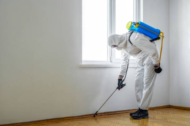 Emergency Pest Control Services in Third Lake, IL